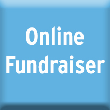Online fundraiser button